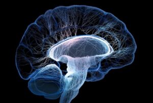 Digital illustration showing human brain with neural pathways