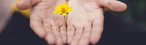 selective focus photography of woman holding yellow petaled flowers